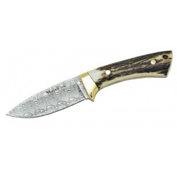 Muela Colibri damascus steel knife, collection knife
